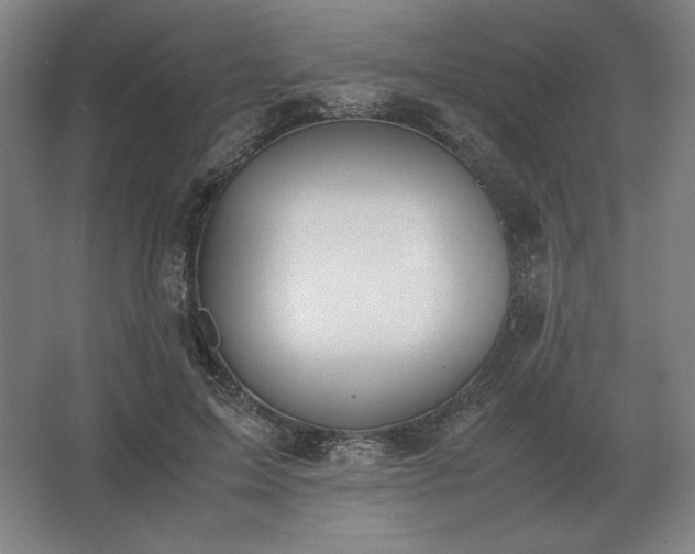 X0000062670599200512281741