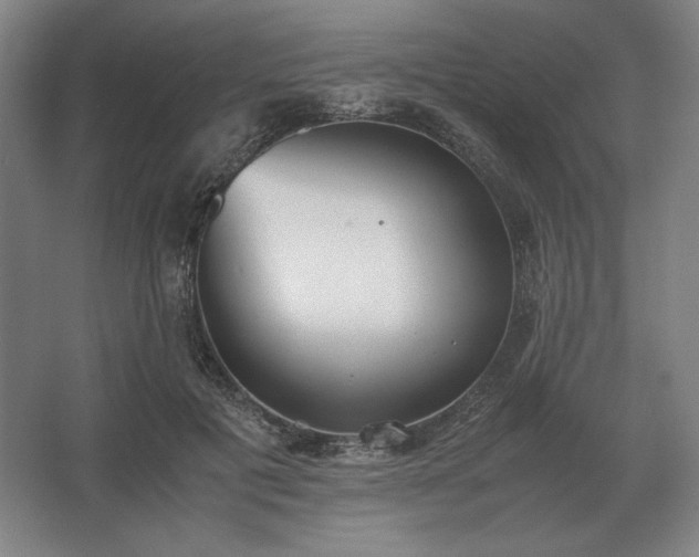 X0000062670601200512281741