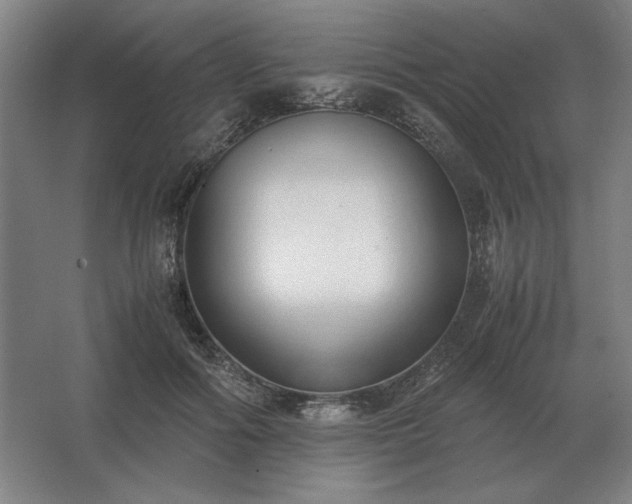 X0000062670602200512281741