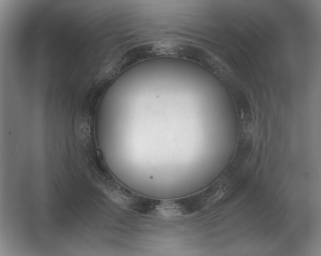 X0000062670603200512281741