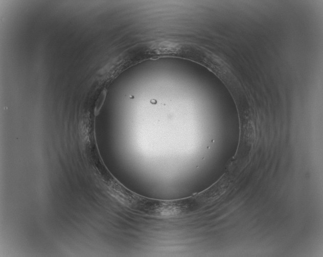 X0000062670604200512281741