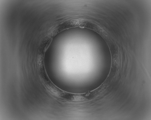 X0000062670605200512281741