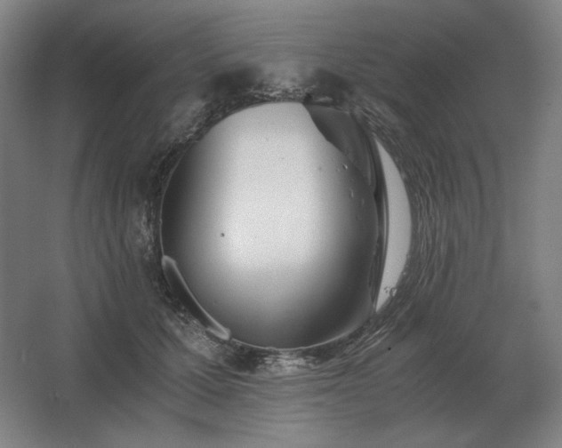 X0000062670607200512281741