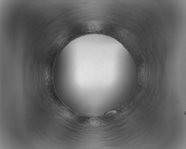 X0000062670608200512281741