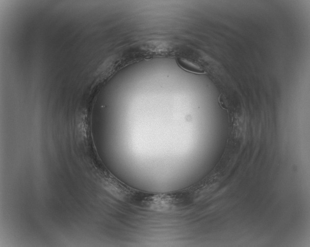 X0000062670612200512281741