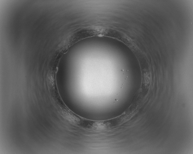 X0000062670613200512281741