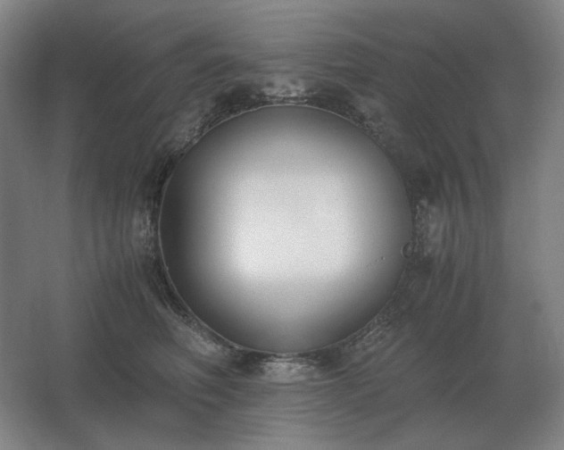 X0000062670614200512281741