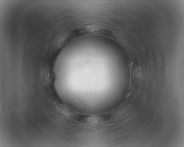 X0000062670615200512281741