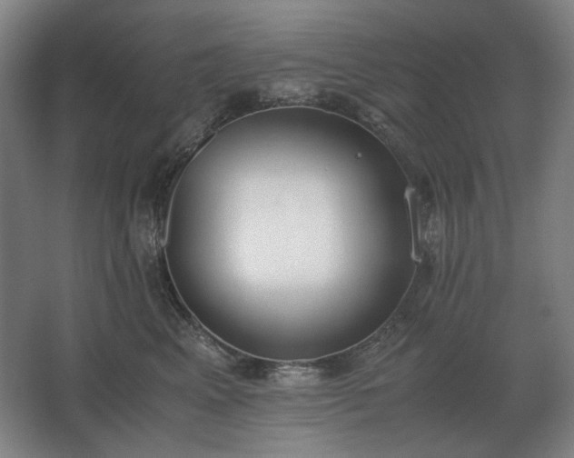 X0000062670617200512281741