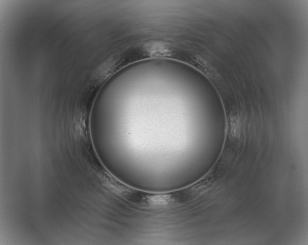 X0000062670618200512281741