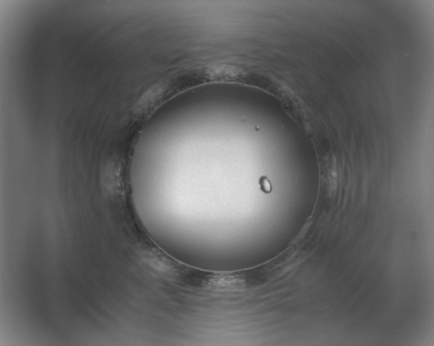 X0000062670619200512281740