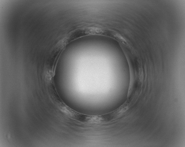 X0000062670621200512281740