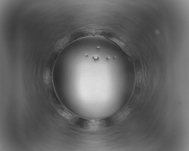 X0000062670623200512281740