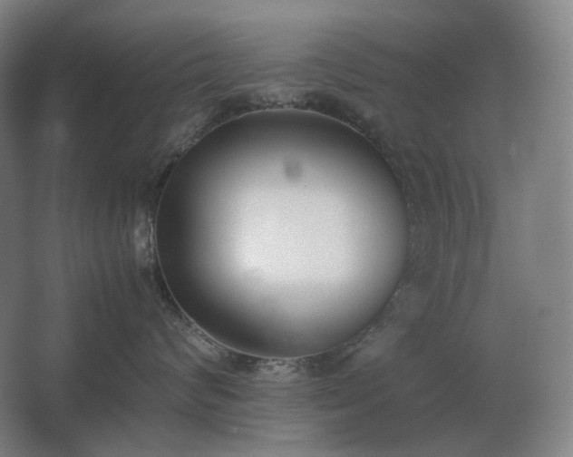 X0000062670624200512281740