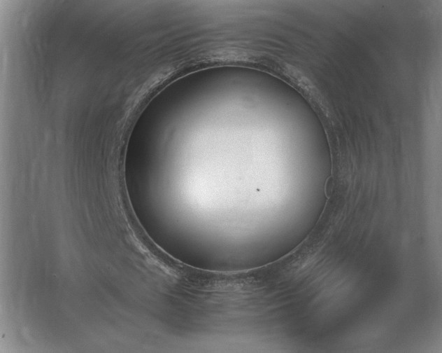 X0000062670625200512281740