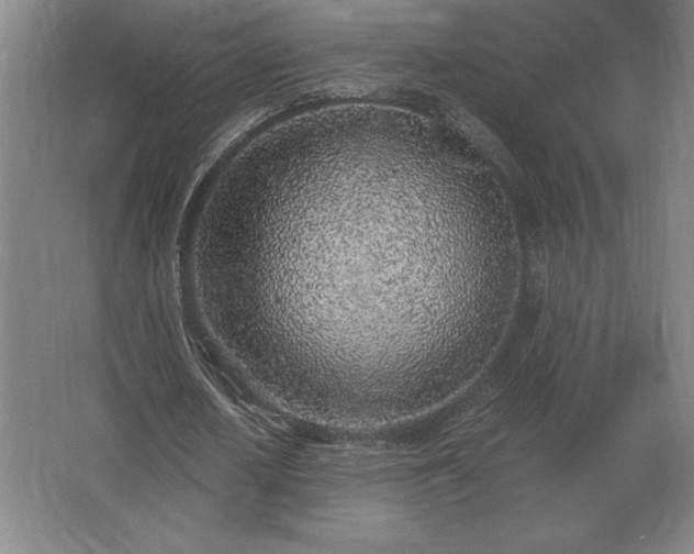 X0000062670626200512281740