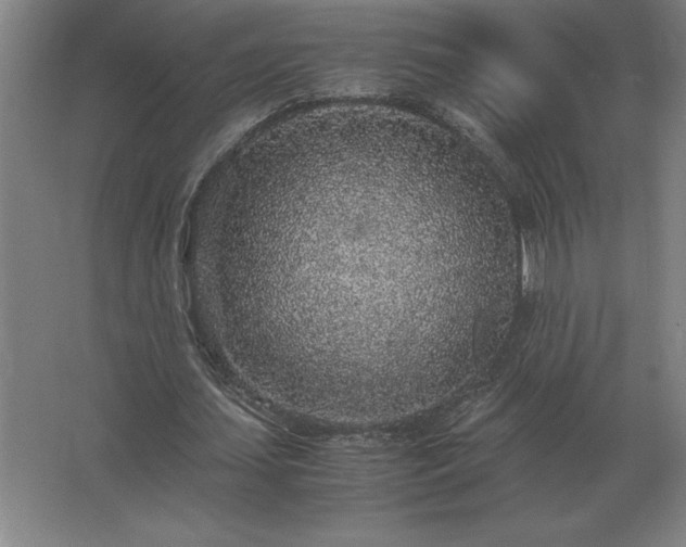 X0000062670627200512281740