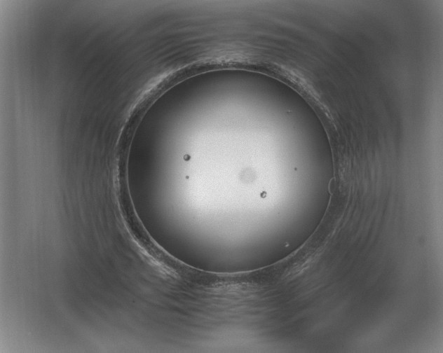 X0000062670629200512281740