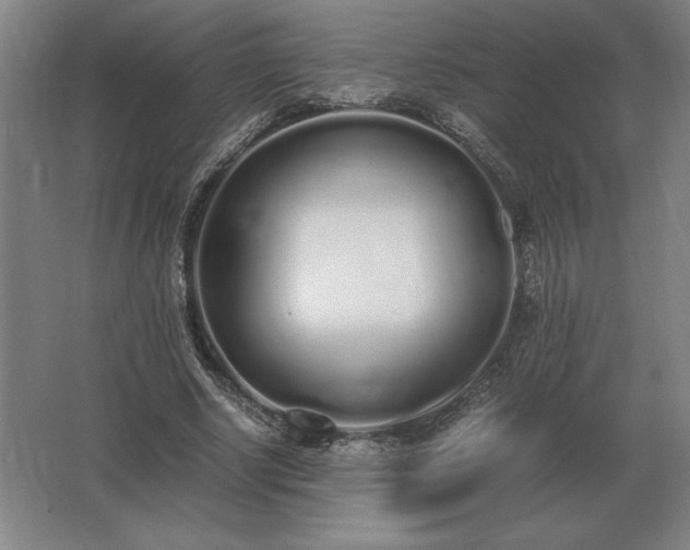 X0000062670634200512281740