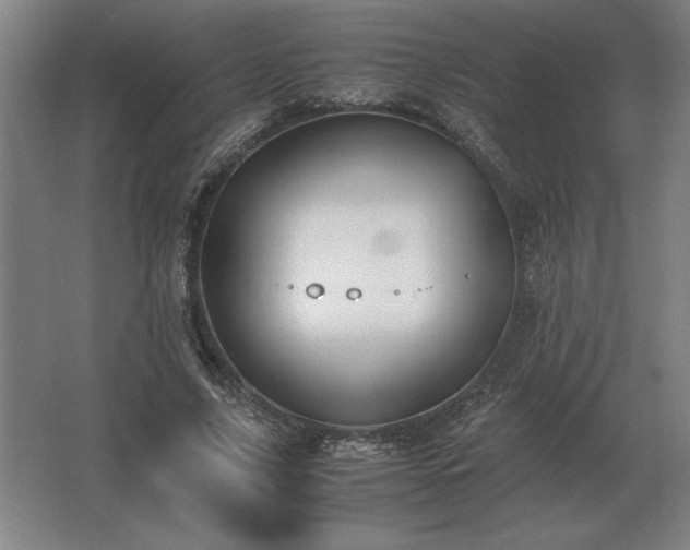 X0000062670635200512281740