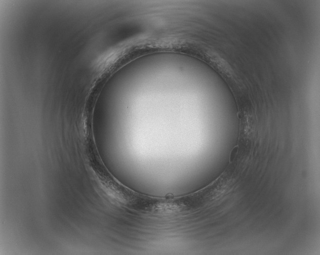 X0000062670636200512281740