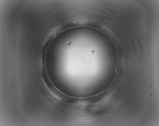 X0000062670638200512281740