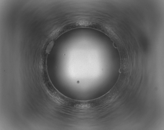 X0000062670639200512281740