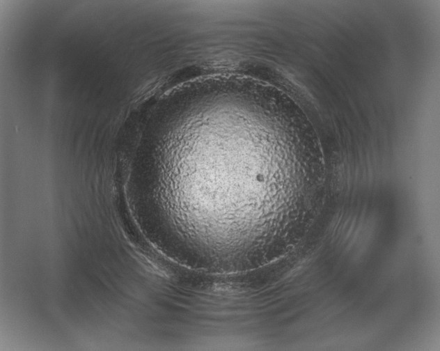 X0000062670641200512281740