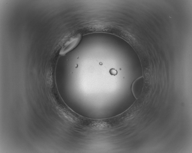 X0000062670642200512281740