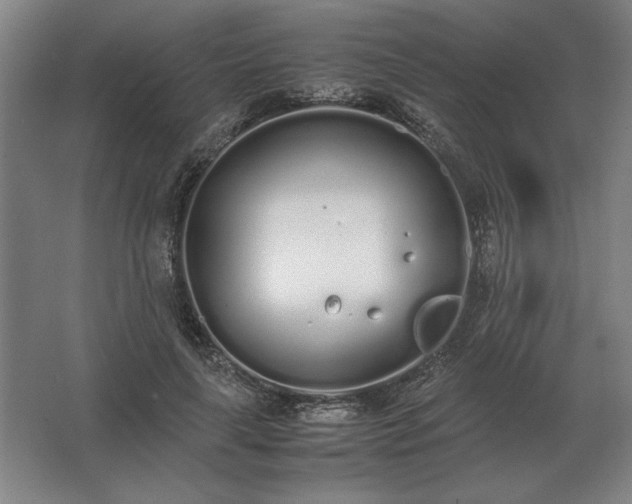 X0000062670643200512281740