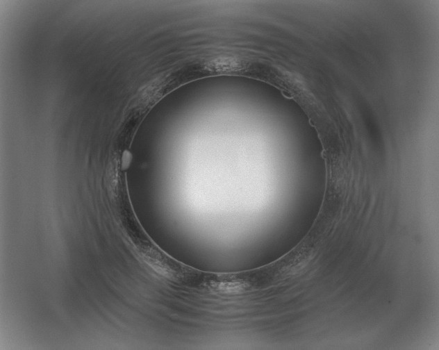 X0000062670645200512281740