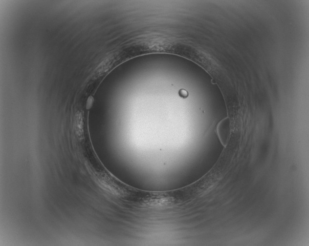 X0000062670646200512281740