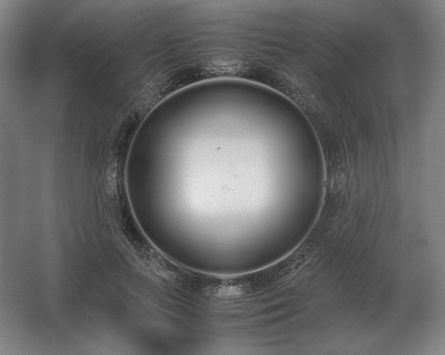 X0000062670647200512281740