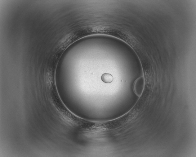 X0000062670648200512281740