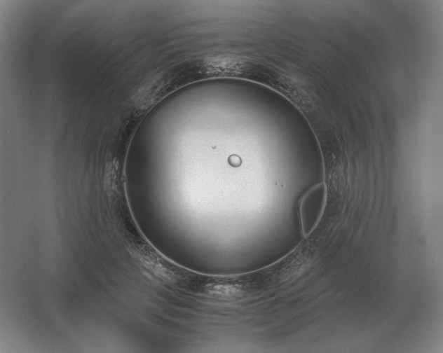 X0000062670649200512281740