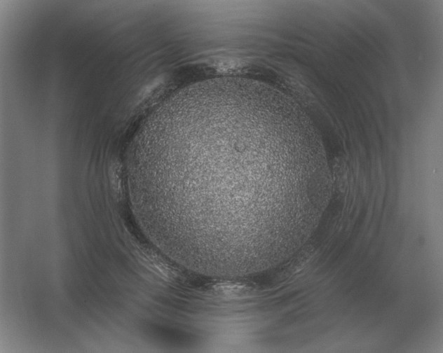 X0000062670650200512281740