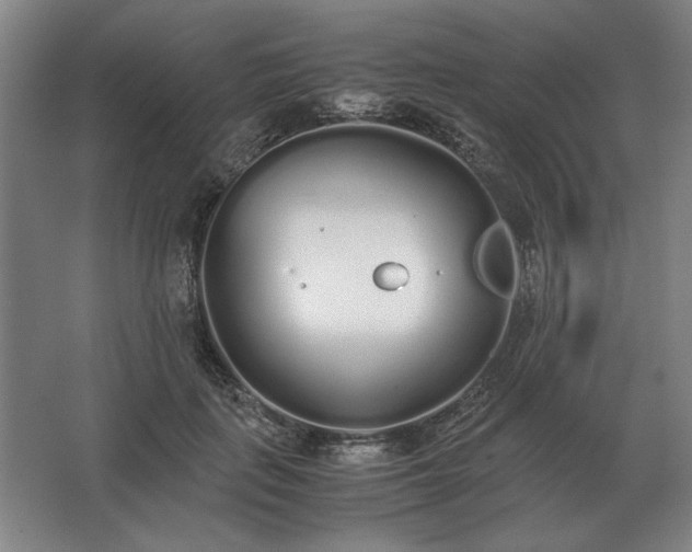 X0000062670651200512281740