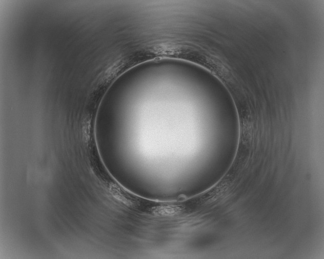 X0000062670652200512281740