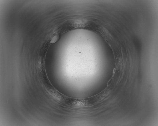 X0000062670655200512281740