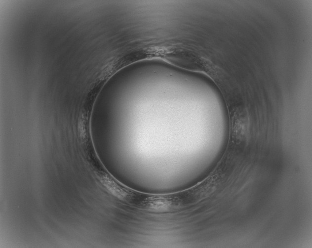 X0000062670658200512281740