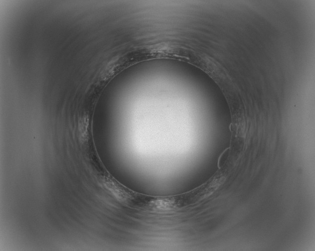 X0000062670660200512281740