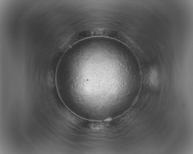 X0000062670661200512281740