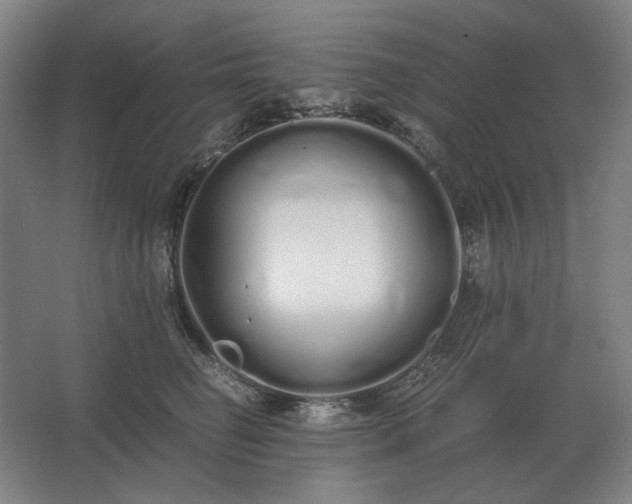 X0000062670662200512281740