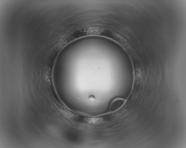 X0000062670663200512281740