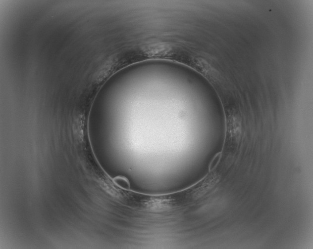 X0000062670664200512281740