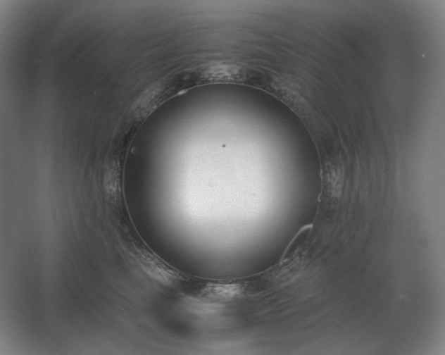 X0000062670665200512281740