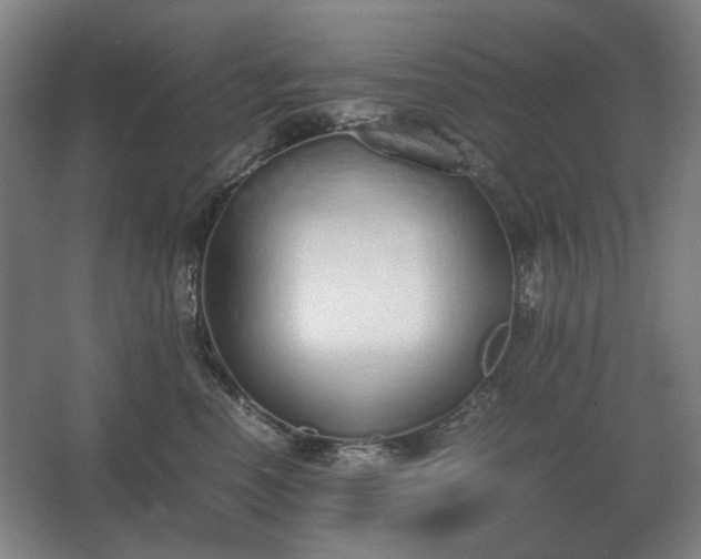 X0000062670666200512281740