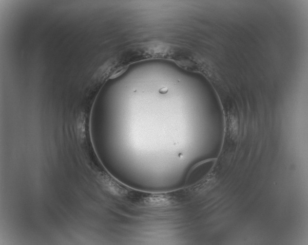 X0000062670668200512281740