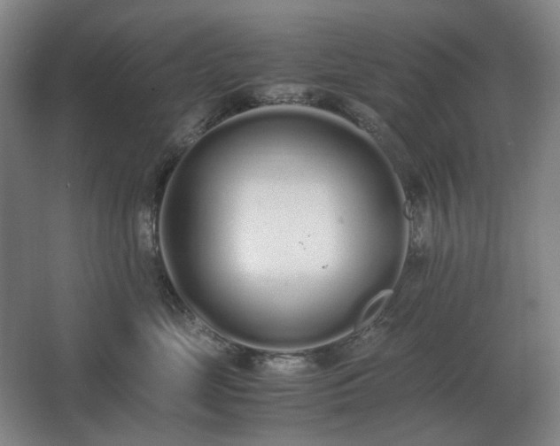 X0000062670669200512281740