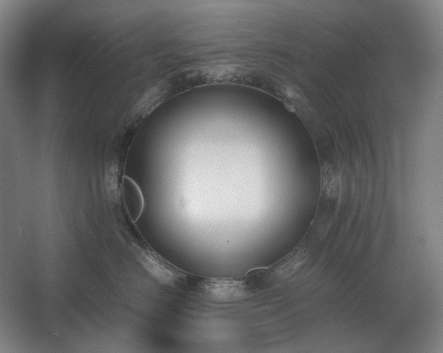 X0000062670670200512281740